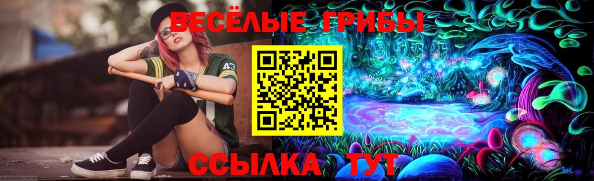 Симферополь  Галлюциногенные грибы GOLDEN TEACHER  Вход с VPN 
